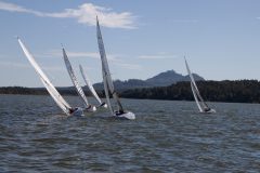 IMG_7362