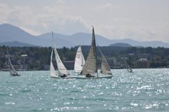 DSC_0206