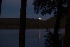 DSCF0542