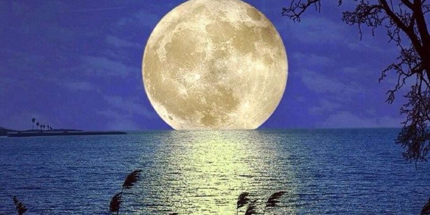 Die längste Nacht<span class="rmp-archive-results-widget "><i class=" rmp-icon rmp-icon--ratings rmp-icon--trophy rmp-icon--full-highlight"></i><i class=" rmp-icon rmp-icon--ratings rmp-icon--trophy rmp-icon--full-highlight"></i><i class=" rmp-icon rmp-icon--ratings rmp-icon--trophy rmp-icon--full-highlight"></i><i class=" rmp-icon rmp-icon--ratings rmp-icon--trophy rmp-icon--full-highlight"></i><i class=" rmp-icon rmp-icon--ratings rmp-icon--trophy rmp-icon--full-highlight"></i> <span>5 (3)</span></span>