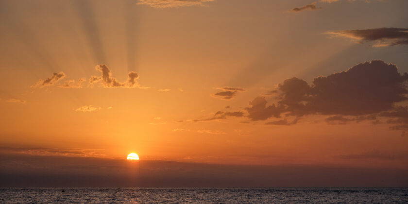 Vorfreude auf 2026<span class="rmp-archive-results-widget rmp-archive-results-widget--not-rated"><i class=" rmp-icon rmp-icon--ratings rmp-icon--trophy "></i><i class=" rmp-icon rmp-icon--ratings rmp-icon--trophy "></i><i class=" rmp-icon rmp-icon--ratings rmp-icon--trophy "></i><i class=" rmp-icon rmp-icon--ratings rmp-icon--trophy "></i><i class=" rmp-icon rmp-icon--ratings rmp-icon--trophy "></i> <span>0 (0)</span></span>